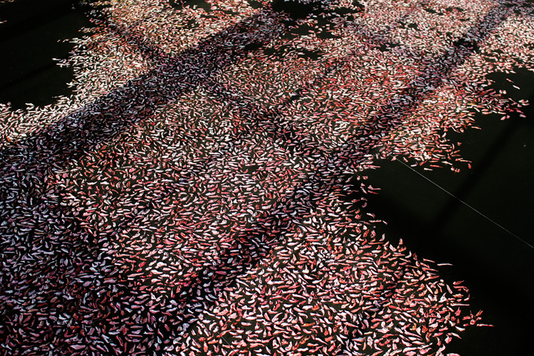 中之条ビエンナーレ2017 景色の記録 作品画像3